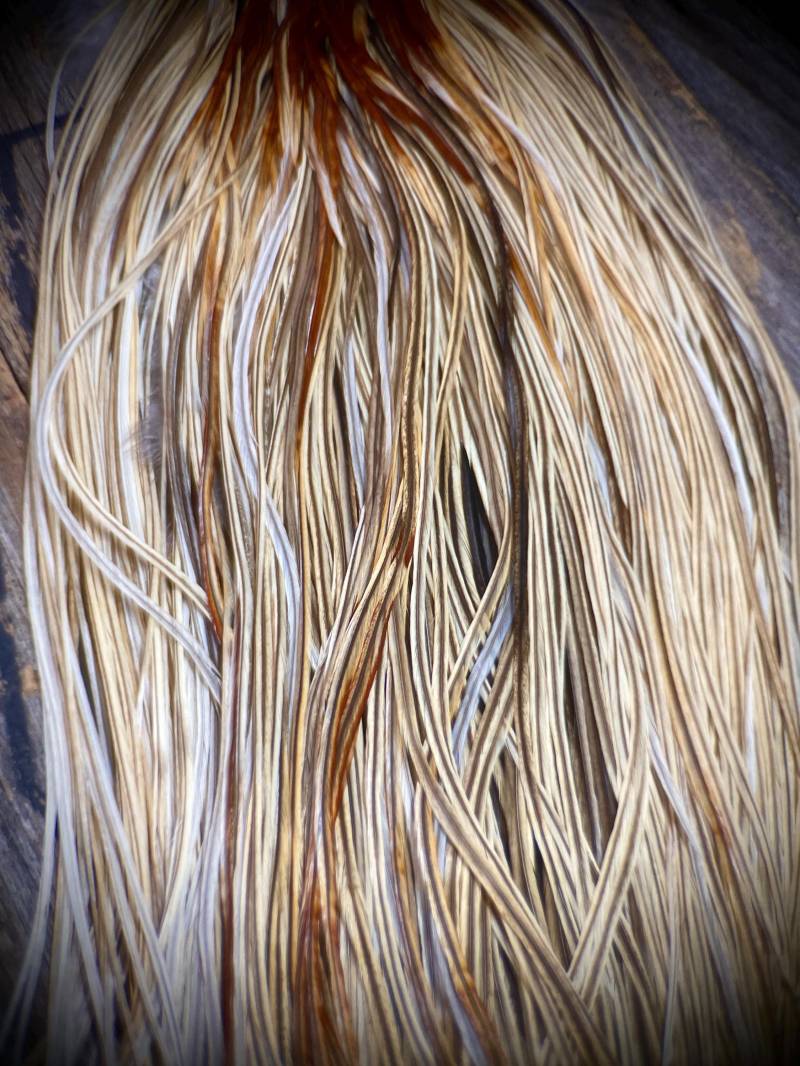 Natürliche Blonde Hahnfedern - Feder Haarverlängerungen 5 Echte Federn Diy Boho Federverlängerungen von Etsy - TheFeathersmiths