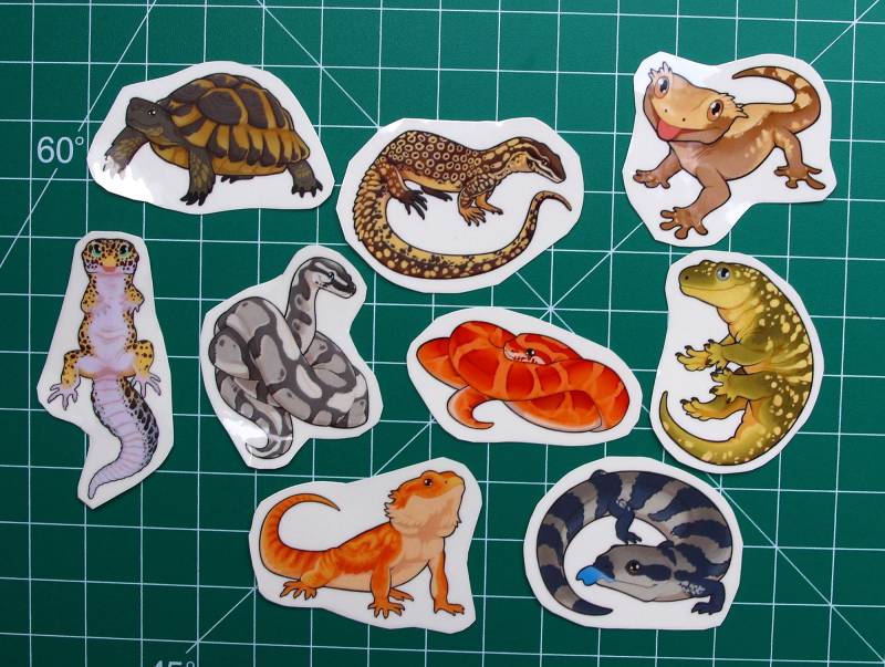 Temporäre Tattoos - Reptilien Minis von Etsy - TherbisStudio