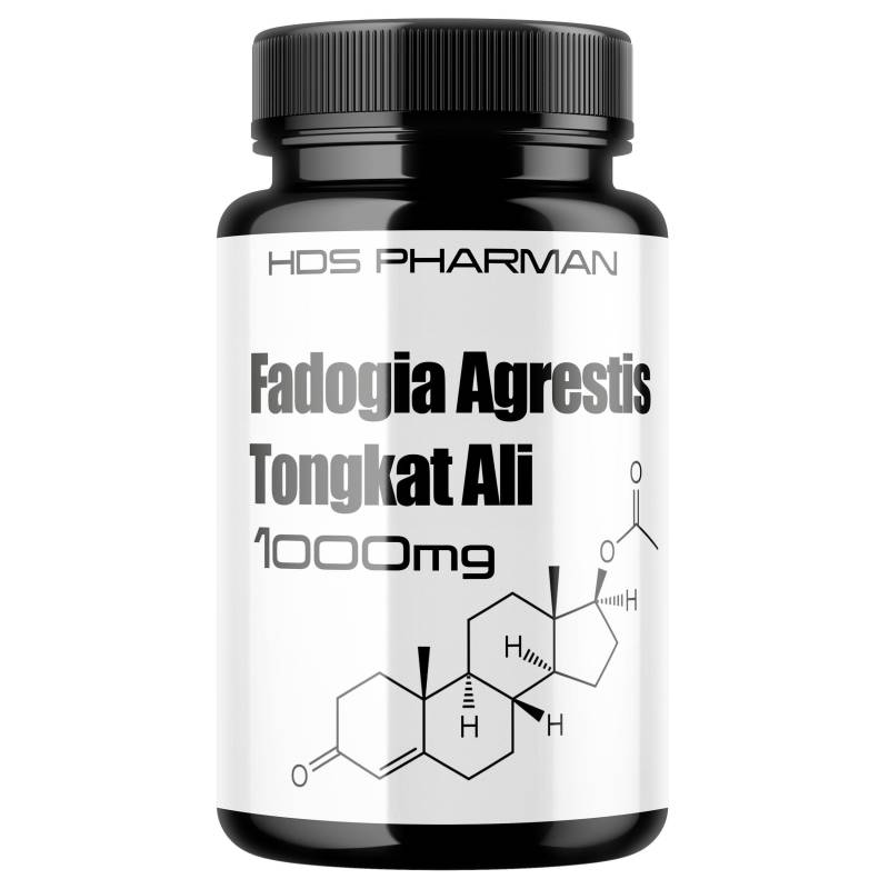 Fadogia + Tongkat Ali 1000Mg von Etsy - WildRootNatural