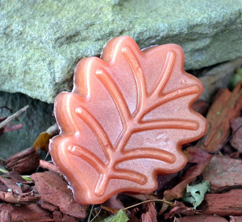 Fall Beauty Blatt Seife - Herbst Thanksgiving Urlaub Dekor Blätter Vegan von Etsy - ajsweetsoap