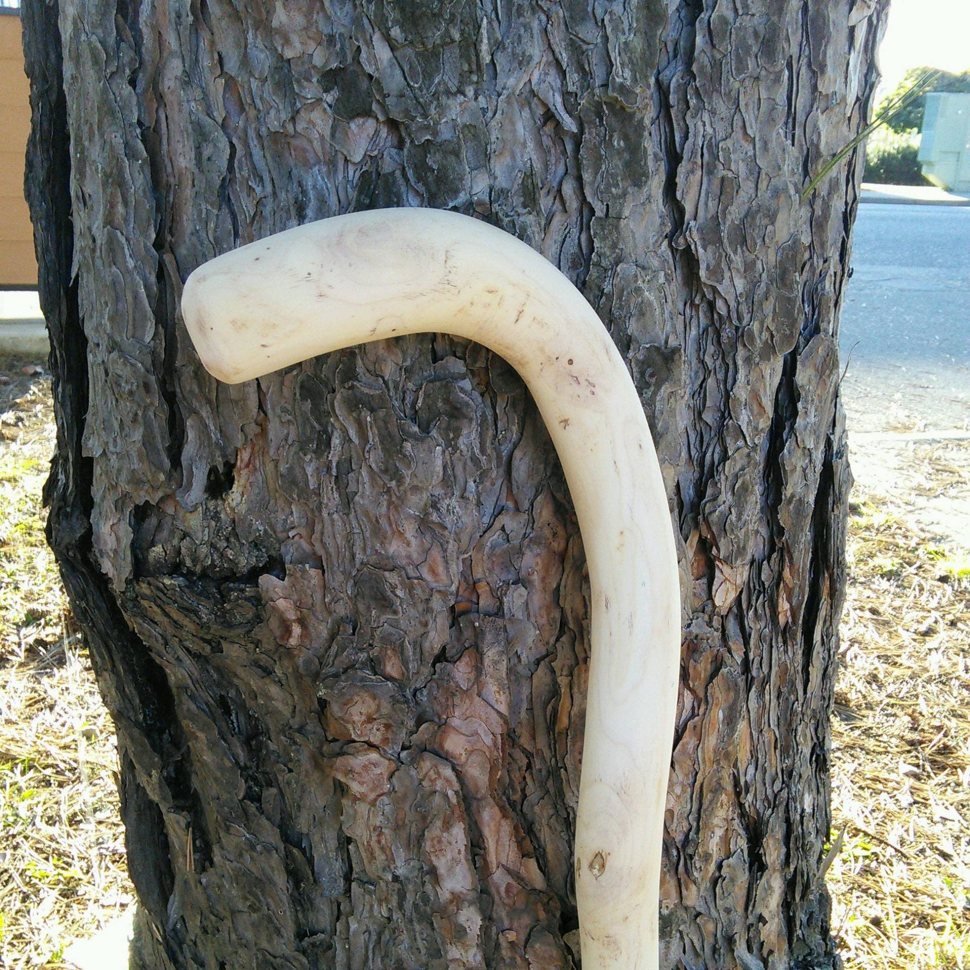 Halbfertiger Stock 35" Ahorn Halbfertiger Stock 35" Ahorn von Etsy - canesUmake