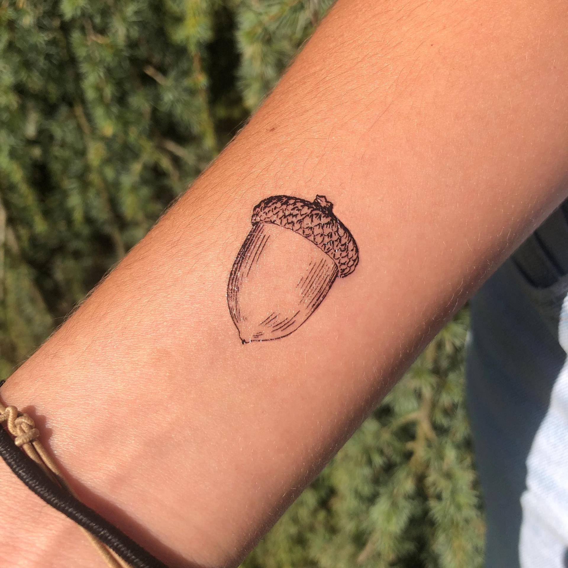 4 Eichel Temporäre Tattoos/Herbst Tattoo Kleine Natur Vintage 4 Eichel Temporäre Tattoos/Herbst Tattoo Kleine Natur Vintage von Etsy - encredelicate