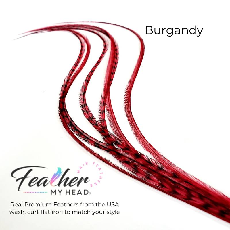 Burgund Rote Haar-Feder-Verlängerungen. | 1 Feder, Lange Längen Und Haar Feder Kit Erhältlich von Etsy - feathermyhead