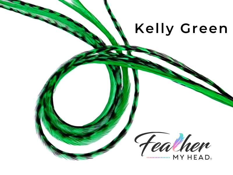 Kelly Green Haar-Feder-Verlängerungen. | 1 Feder, Lange Längen Und Haar Feder Kit Erhältlich von Etsy - feathermyhead