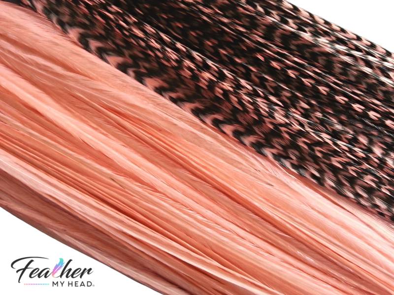 Light Coral Orangehair Feder-Verlängerungen. | 6 Federn. Lange Längen Über 16 Zoll Und Haar Feder Kit Erhältlich von Etsy - feathermyhead