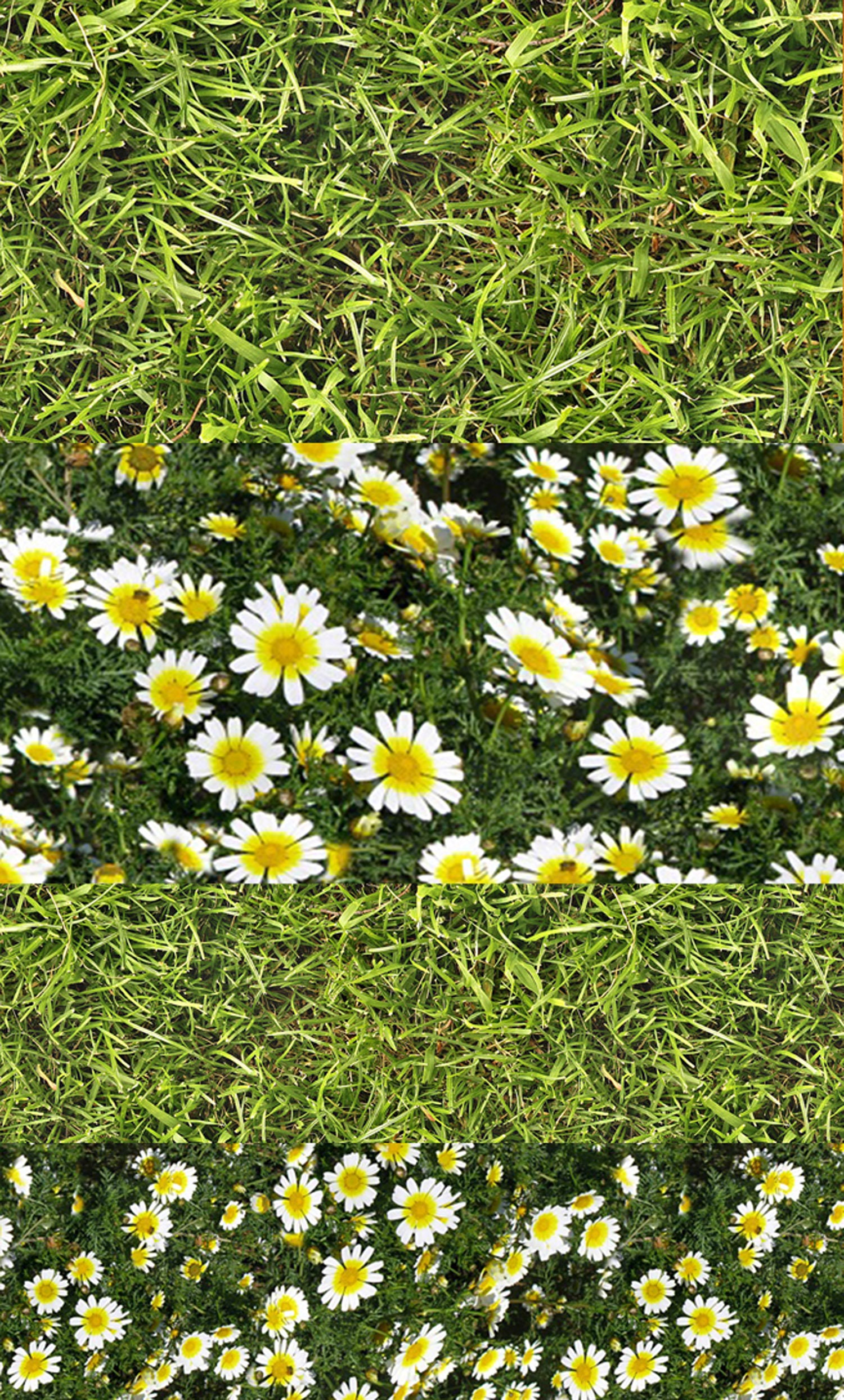 Nagelaufkleber | 5 Blatt Grünes Gras Und Niedliche Daisies Flonz 102-310 von Etsy - flonz