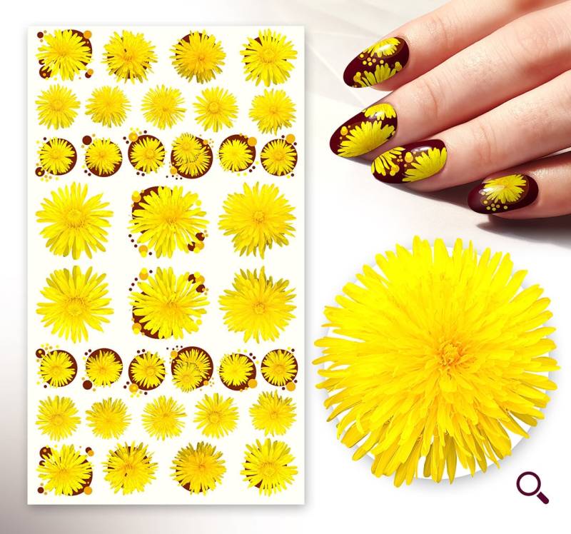 Nagelaufkleber | 5 Blatt Tolle Gelbe Daisy Blumen Süß Sommer Und Frühling Flonz 101-228 von Etsy - flonz