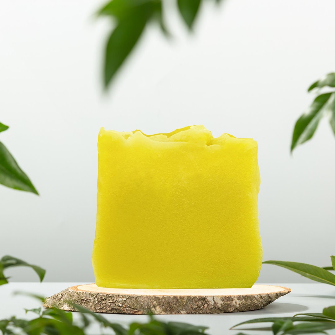 Aloe Vera Haar- Und Körperseife - Vegan, Plastikfrei Ohne Palmöl von Etsy - kleineAuszeit