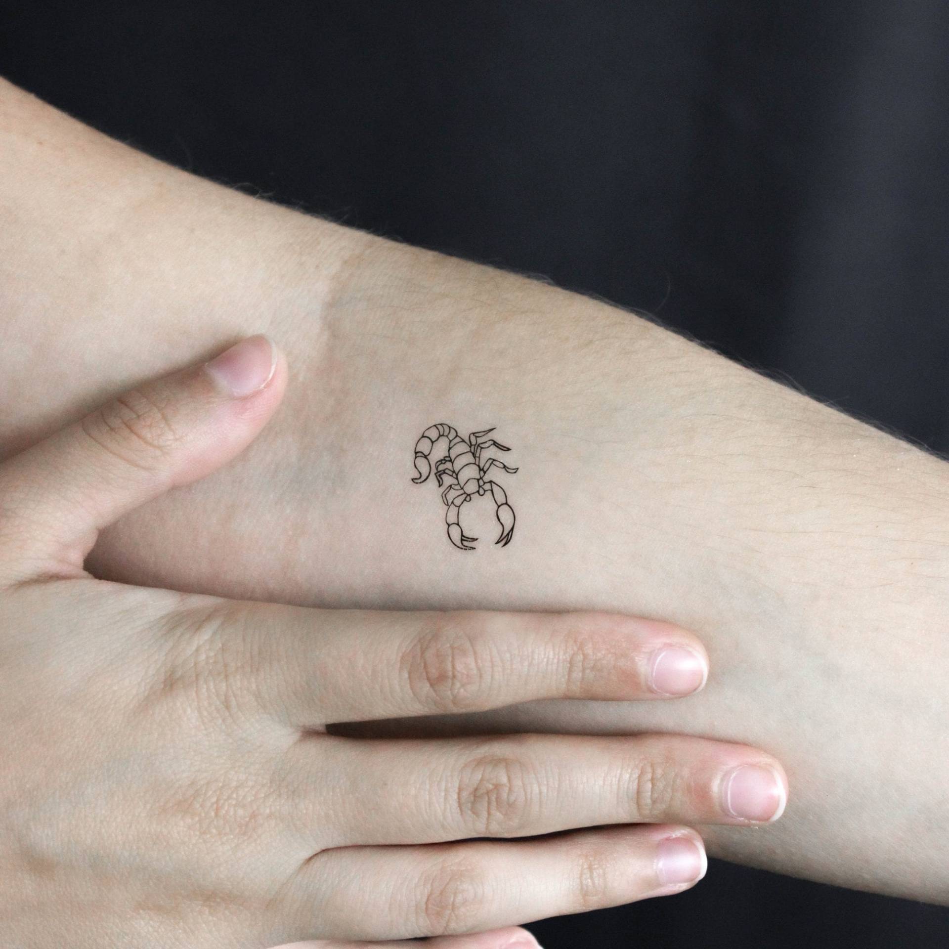 Kleiner Skorpion Temporäres Tattoo | 3Er Set von Etsy - littletattoos