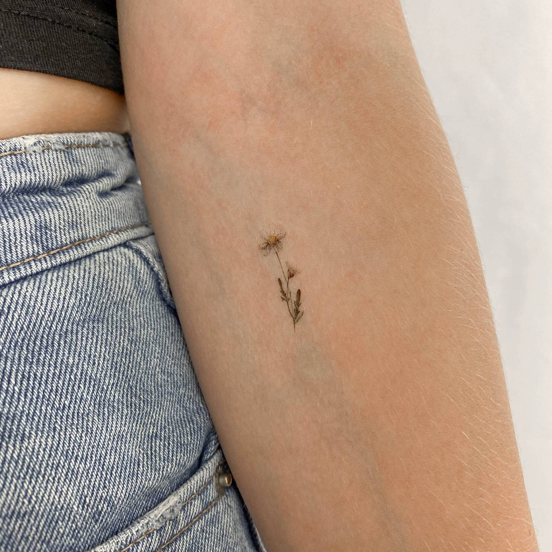 Kleines Aquarell Daisy Temporäres Tattoo | 3Er Set von Etsy - littletattoos