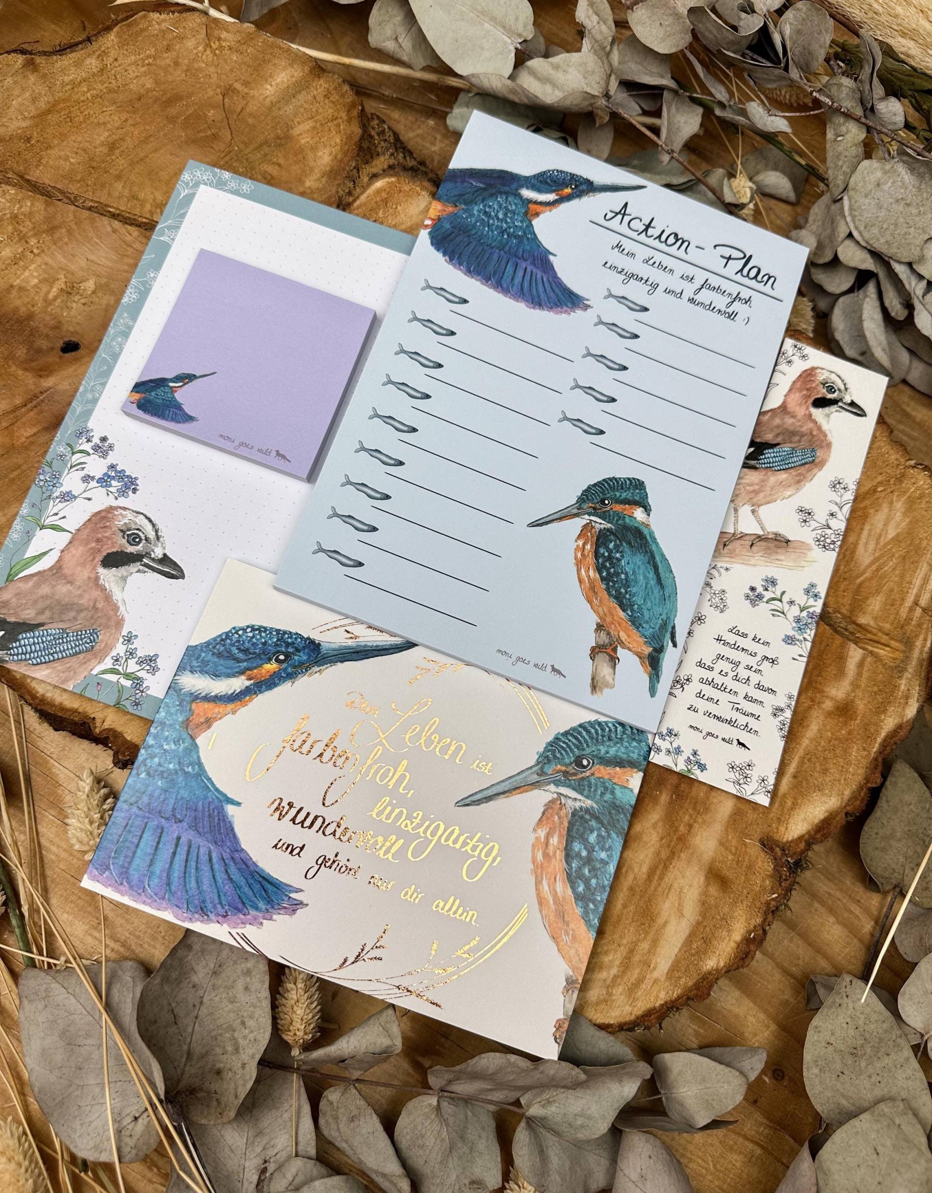 Geschenkset Geschenkbox Für Frauen Bundle Eisvogel Eichelhäher Vögel Vogelfreund Geschenk Mit Tieren Natur von Etsy - monigoeswild