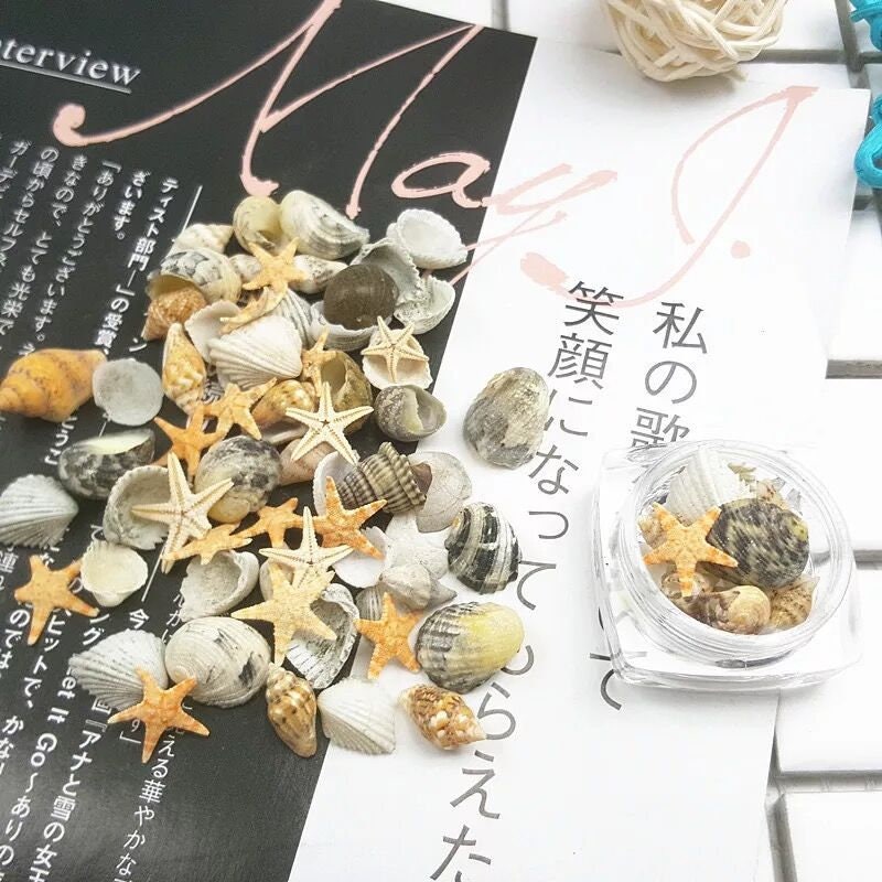 1Jar Nail Art Shell Trompete Conch Seestern Kleine Set Bj57 1Jar Nail Art Shell Trompete Conch Seestern Kleine Set Bj57 von Etsy - nailartfairy