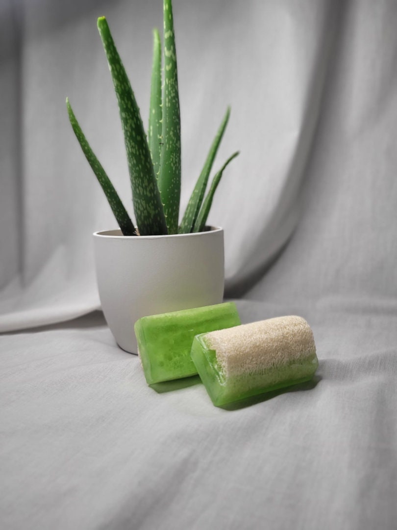 Handgemachte Aloe Vera Luffa Seife - Feuchtigkeitsspendend Und Für Alle Hauttypen Geeignet von Etsy - natureSuna