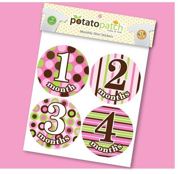 Baby-Monatliche Shirt Aufkleber - Moderne Pop Mädchen Candy Stripe Baby-Monatliche Shirt Aufkleber - Moderne Pop Mädchen Candy Stripe von Etsy - potatopatch