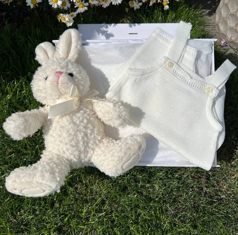 Neue Baby Geschenk Kleidung Korb, Bunny Shower Set, Willkommen Zu Hause Geschenk, Mädchen Neugeborene von Etsy - thebababee