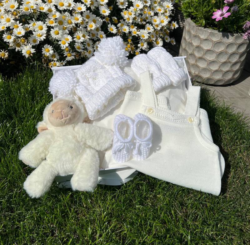 Neugeborenen Baby Geschenk, Baby-Dusche-Geschenk-Set, Willkommen Zu Hause Korb, Lamm Mädchen Neugeborene von Etsy - thebababee