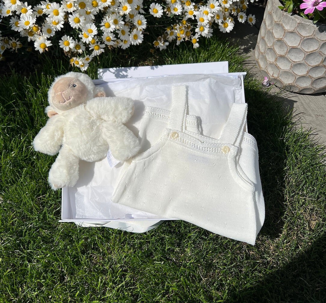 Neugeborenen Baby Geschenk, Baby-Dusche-Geschenk-Set, Willkommen Zu Hause Korb, Lamm Mädchen Neugeborene von Etsy - thebababee