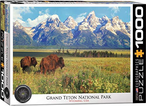 EuroGraphics 6000-5474 Grand Teton National Park Photography by Steve Hinch 1000-Piece Puzzle, Multi von EuroGraphics