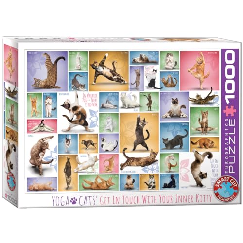 EuroGraphics 1000 Teile Yoga Cats Katzen Puzzle, Mehrfarbig, 48 x 68 cm von EuroGraphics