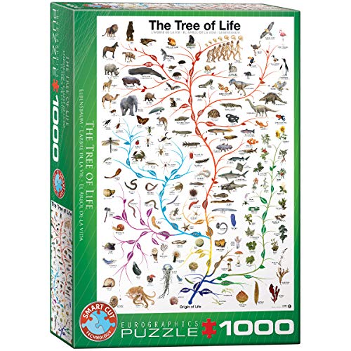 Eurographics 6000-0282 Der Lebensbaum Charles Darwin Puzzle, bunt, 48 x 68 cm von EuroGraphics