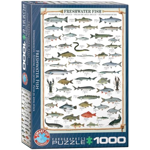 Eurographics 6000-0312 Fisch Puzzle, Mehrfarbig, 68x48cm von EuroGraphics