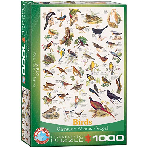 Eurographics 6000-1259 Vögel Puzzle, Mehrfarbig, One Size von EuroGraphics