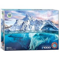 Eurographics 6000-5539 - Rette den Planeten - Arktis, Puzzle, 1.000 Teile von Eurographics