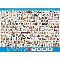 Eurographics 8220-0581 - Hundewelt, Puzzle, 2.000 Teile von Eurographics