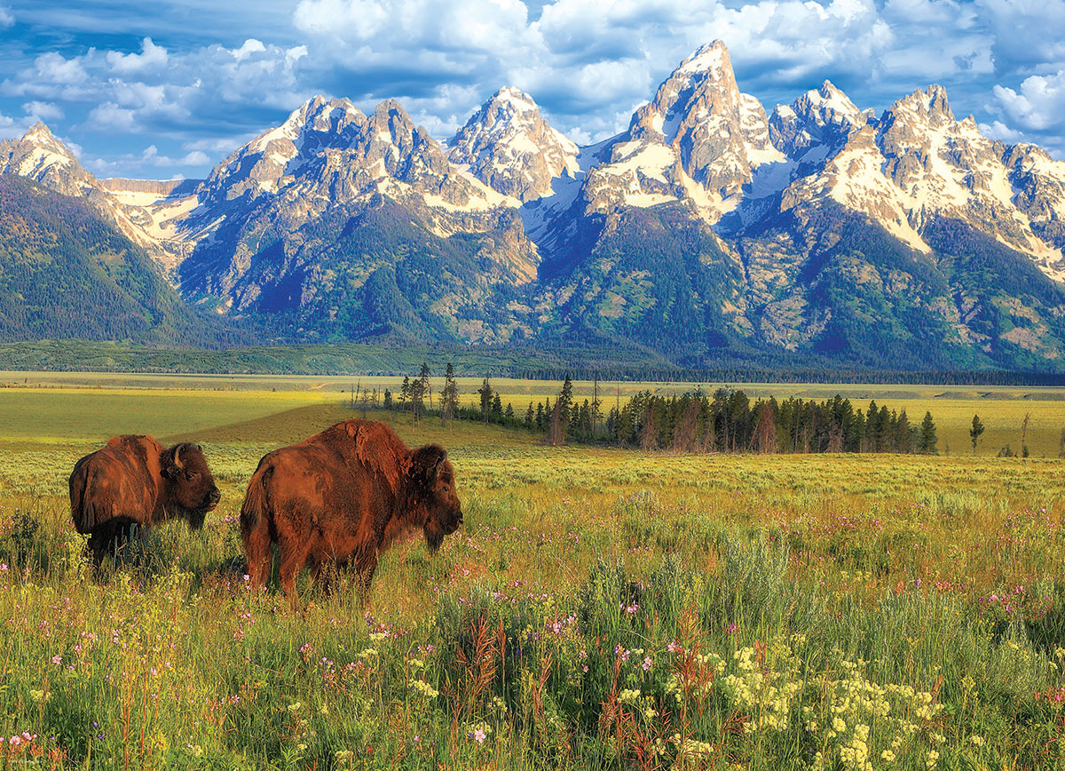 Eurographics Grand Teton Nationalpark 1000 Teile Puzzle Eurographics-6000-5474 Eurographics Grand Teton Nationalpark 1000 Teile Puzzle Eurographics-6000-5474 von Eurographics