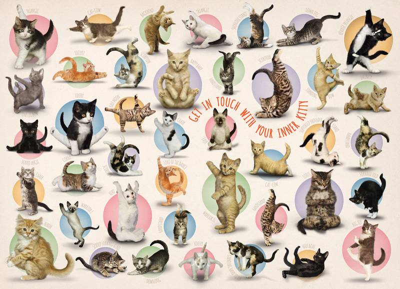 Eurographics XXL Teile - Familiy Puzzle: Yoga Kittens 500 Teile Puzzle Eurographics-6500-0991 von Eurographics