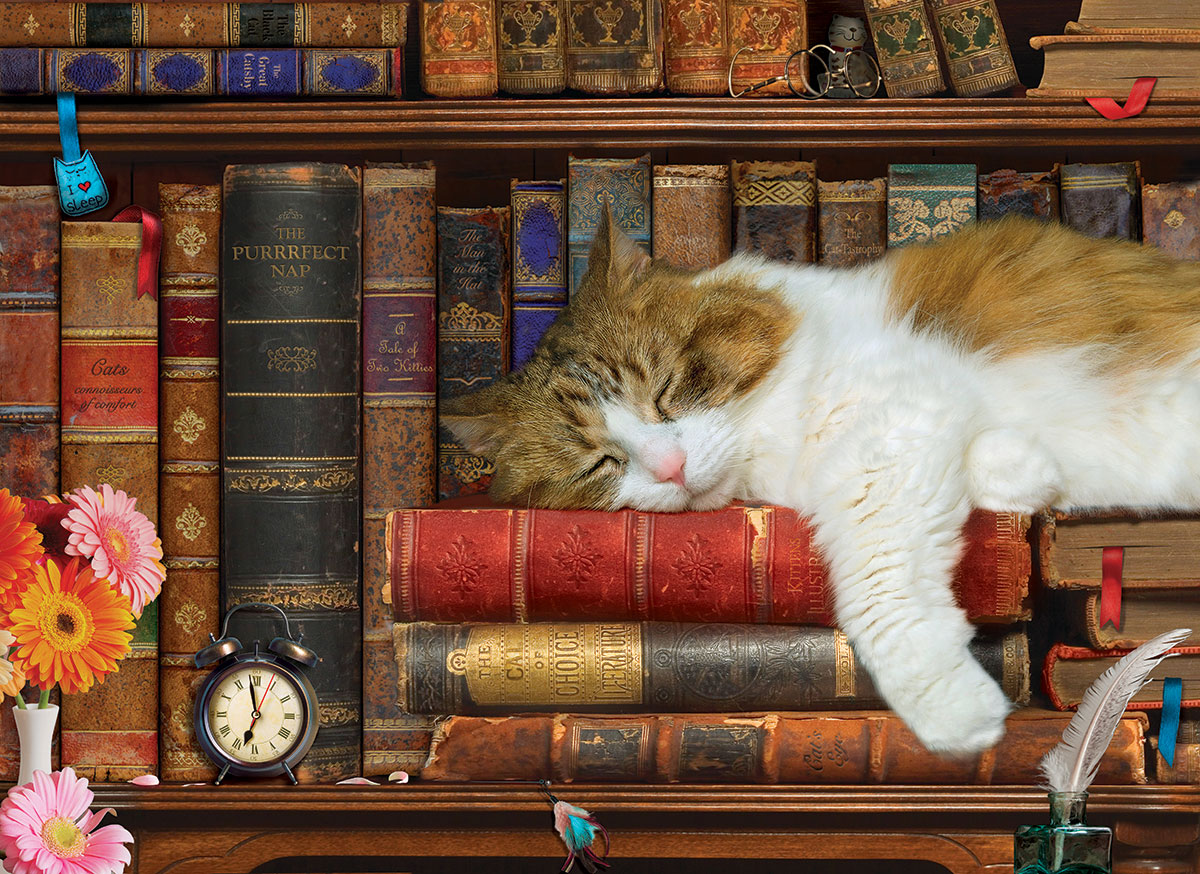 Eurographics XXL Teile - The Cat Nap 500 Teile Puzzle Eurographics-6500-5545 Eurographics XXL Teile - The Cat Nap 500 Teile Puzzle Eurographics-6500-5545 von Eurographics