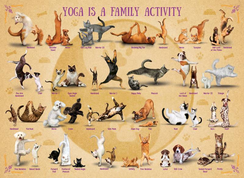 Eurographics XXL Teile - Yoga is A Family Activity 500 Teile Puzzle Eurographics-6500-5354 von Eurographics