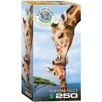 Eurographics 8251-0294 - Giraffenmutterkuss , Puzzle, 250 Teile von Eurographics