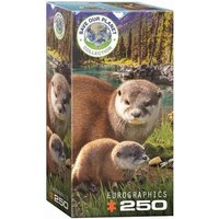 Eurographics 8251-5558 - Otter, Puzzle 250 Teile von Eurographics