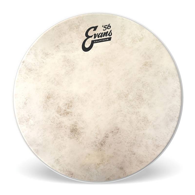 Evans 16" Calftone Tom Head Tom-Fell von Evans