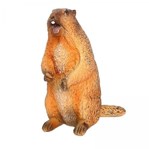 F Fityle 2X Groundhog Spielzeug Simulation Tier Modell Sammlerstücke Desktop Decor Figurine Ornament für Rasen Heimgebrauch Housewarming Hof Erwachsene von F Fityle