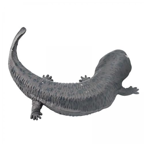 F Fityle 3X Salamander Spielzeugfigur, Realistische Wildtierstatue, Ab 3 Jahren, für Jungen Und Mädchen, Lernspielzeug Kollektionen, Salamander Tierfiguren von F Fityle