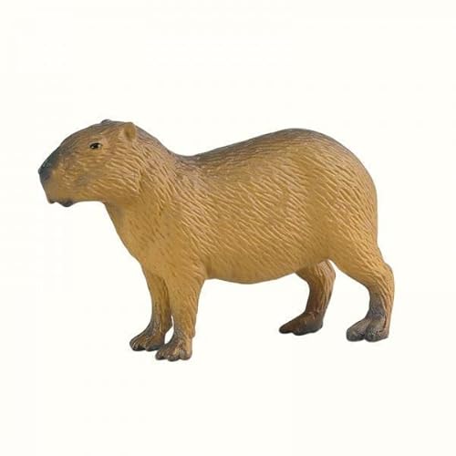 F Fityle 3X Simulation Capybara Figuren Spielzeug, Tiere Modell Wissenschaft Pädagogisches Spielzeug Spielset Capybara Figur Capybara Statue für Mädchen Kinder von F Fityle