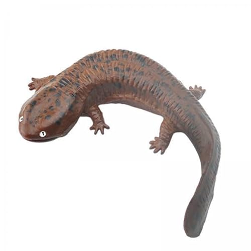 F Fityle 5X Salamander Figur Salamander Spielset Modell Party Favors Geburtstag Geschenke Realistische Wildlife Statue Salamander Tier Figuren von F Fityle