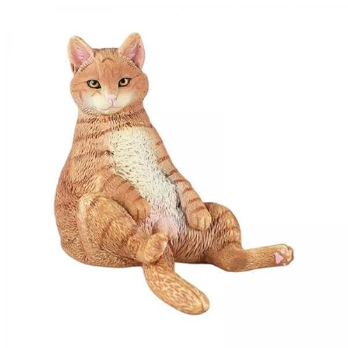 F Fityle 6X Lebensechte Katze Modell Figur Katze Tiere Spielzeug Kleintiere Figuren Sammlung Spielset Heimtextilien Kinderspielzeug von F Fityle