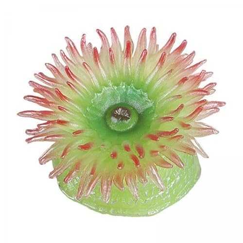 F Fityle 6X Lebensechte Seeanemone Actionfiguren Aquarium Landschaft Party Favor Sea Animal Tierspielzeug für Neujahrsgeschenk Congnitive Toy Teaching Aid von F Fityle