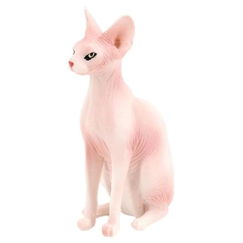 F Fityle 6X Realistische Katzenfigur Haarlose Katze Tiermodell Entzückende Statuen für Kognitives Spielzeug Dekoration von F Fityle