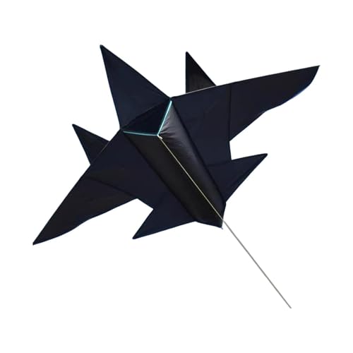 F Fityle Jet Flugzeug Single Line Kite Flying Toy Einfach zu fliegen riesige Größe Sports Spielzeug Flugzeug Delta Kite für Beach Park Boys Mädchen Kinder, Schwarz, Groß von F Fityle