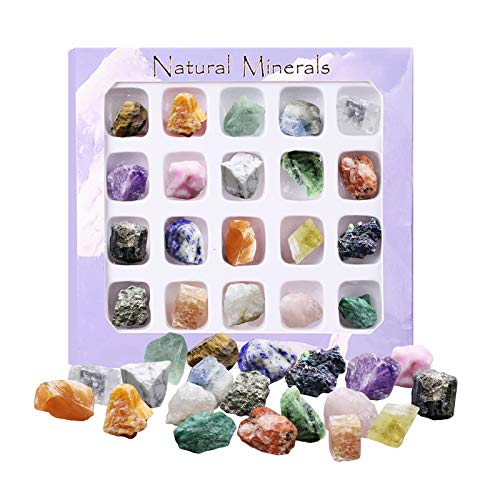 FAMKIT Mineral Rock Vielzahl Fiel Stein Felsen Sammlung 20Pcs Rock Und Mineral Bildung Set Edelsteine- Bär Rock Und Mineral Geologie Bildung Sammlung von FAMKIT