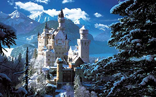 Puzzle Für Erwachsene 1000 Teile, Slotbos Neuschwanstein Winterlandschaft Große Holzpuzzle 75X50Cm von FAWFAW