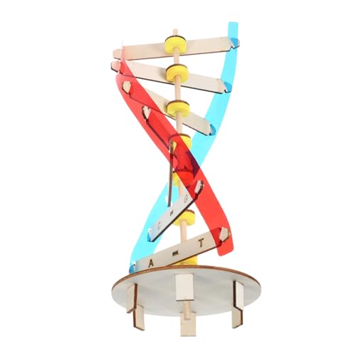 FELTECHELECTR Biologie-unterrichtsrequisite Wissenschaftsspielzeug Bauen Sie Ihr Eigenes Modell Doppelhelix-holzspielzeug Lernspielzeug Für Jungen Und Mädchen von FELTECHELECTR