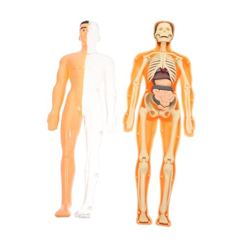 FELTECHELECTR 3D-Puzzle-Set zur menschlichen Anatomie für Jungen und Mädchen Lehrmittel für die Früherziehung von FELTECHELECTR