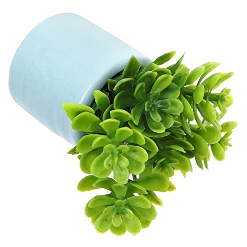 FELTECHELECTR Miniatur Bonsai Pflanze Für Puppenhaus Künstliche Topfpflanze Im Keramiktopf Dekoratives Accessoire Für Miniaturgärten Und Fotorequisiten FELTECHELECTR Miniatur Bonsai Pflanze Für Puppenhaus Künstliche Topfpflanze Im Keramiktopf Dekoratives Accessoire Für Miniaturgärten Und Fotorequisiten von FELTECHELECTR