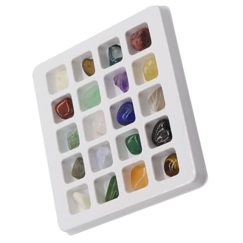 FELTECHELECTR Natürliche Kristall mineralien Sammlung Lehrspielzeug für Echten Steinspezimen zum Lernen Basteln und Sammeln Geeignet für Junge und Schulunterricht FELTECHELECTR Natürliche Kristall mineralien Sammlung Lehrspielzeug für Echten Steinspezimen zum Lernen Basteln und Sammeln Geeignet für Junge und Schulunterricht von FELTECHELECTR