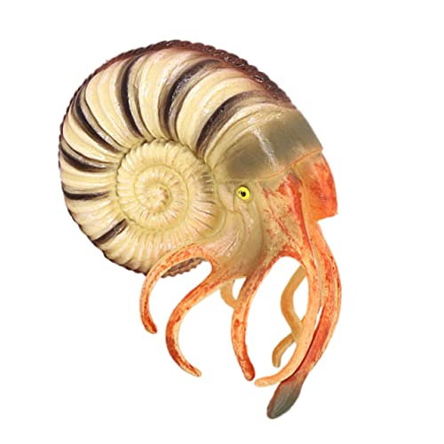 FELTECHELECTR Realistisches Nautilus Modell aus Strapazierfähigem Farbenfrohes Meerestier für Edukatives Tiermodell zur Umweltbildung und Dekoration im Innen und Außenbereich FELTECHELECTR Realistisches Nautilus Modell aus Strapazierfähigem Farbenfrohes Meerestier für Edukatives Tiermodell zur Umweltbildung und Dekoration im Innen und Außenbereich von FELTECHELECTR